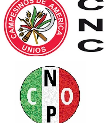 CNC Y CNOP EN EL SÓTANO